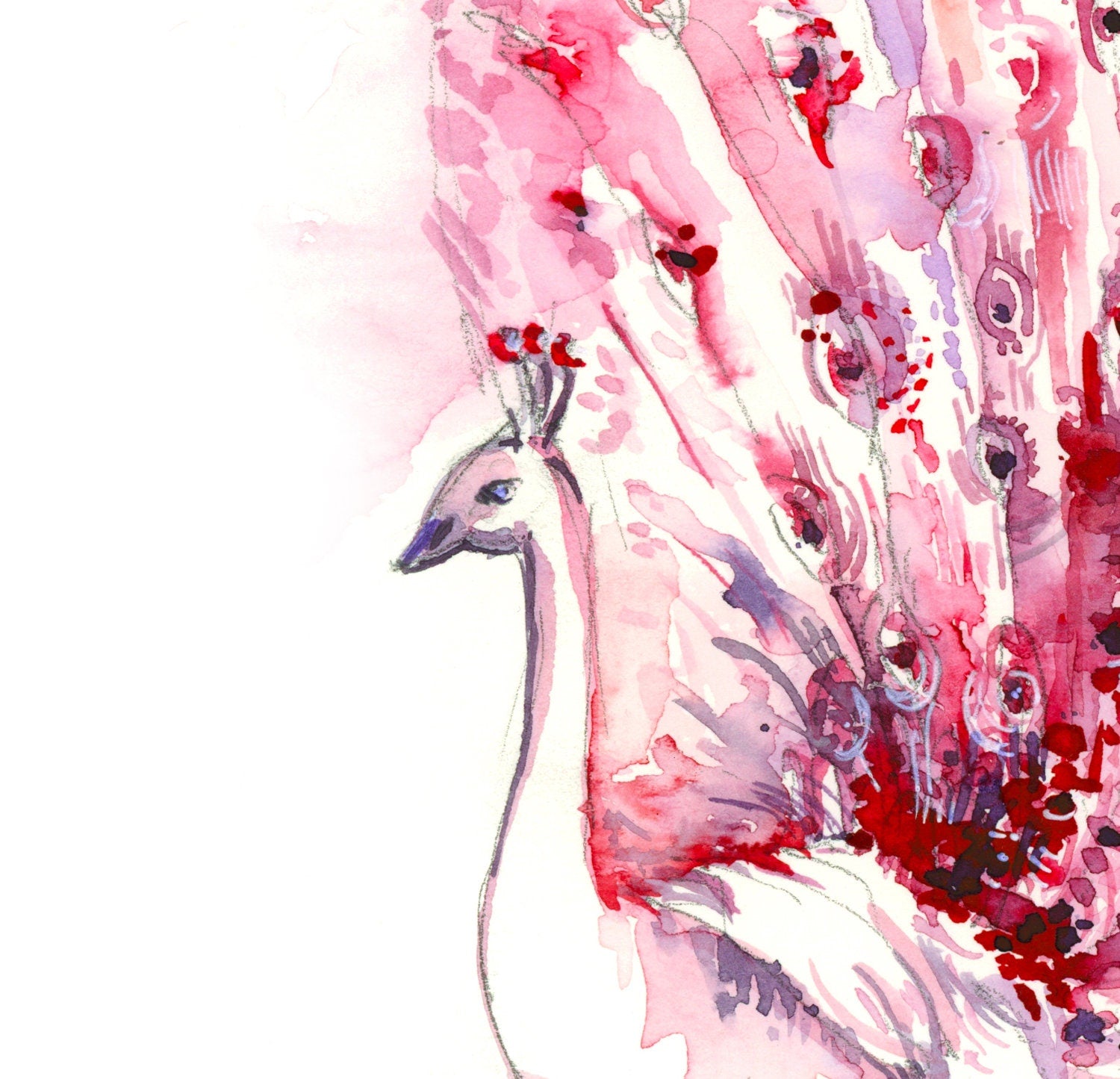 Pink Peacock Giclee Print, Watercolor Bird Art, Mother's Day Gift