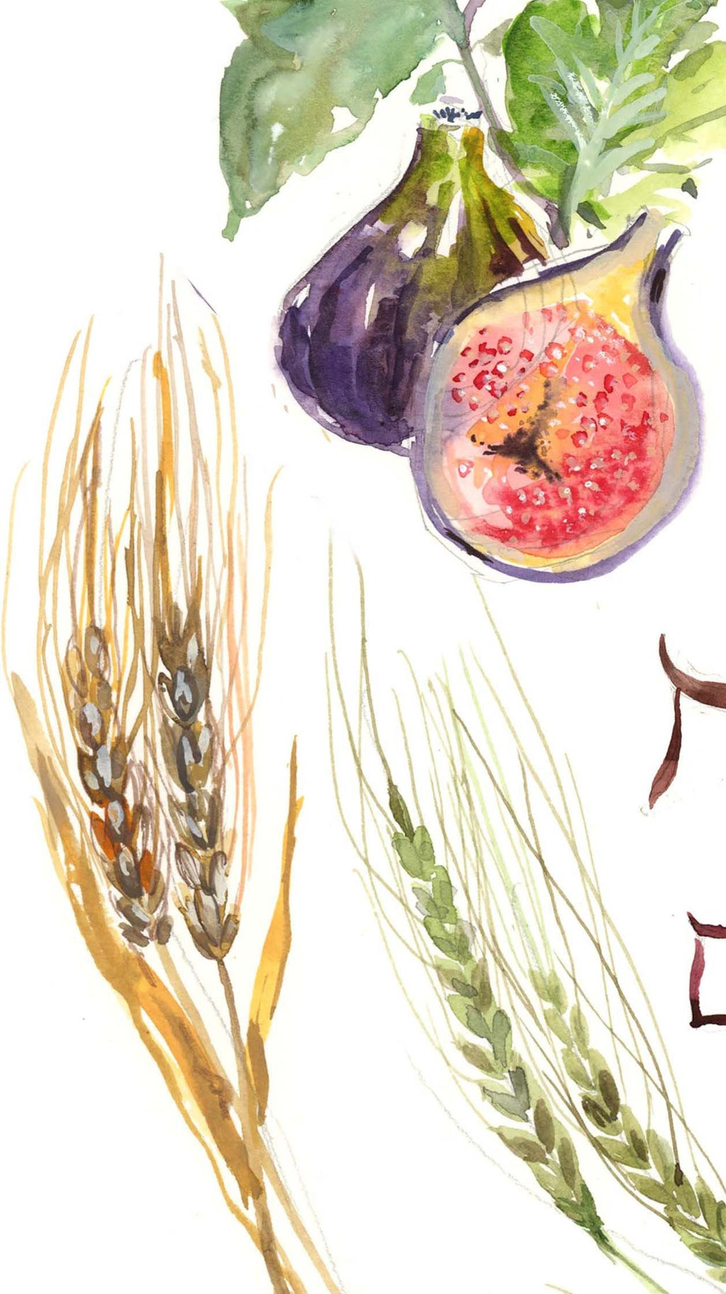 Judaica Art Print, Fruits of Israel Illustration, Shevas Haminim Watercolor Illustration, Jewish Wall Decor