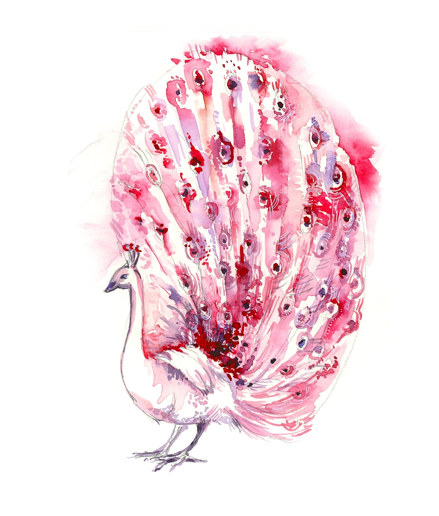 Pink Peacock Giclee Print, Watercolor Bird Art, Mother's Day Gift