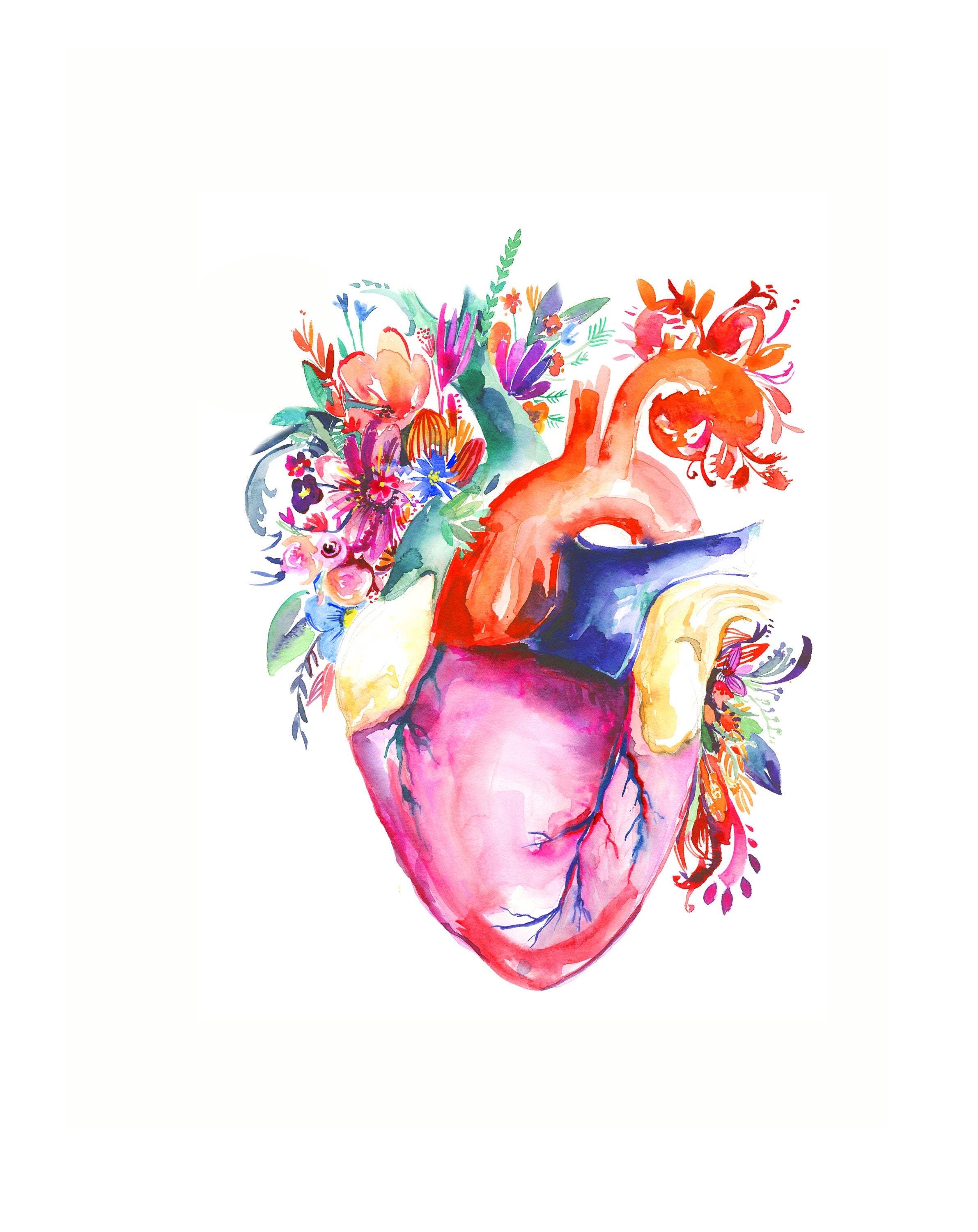 Anatomical Heart Art Print: Watercolor Illustration, Medical Decor