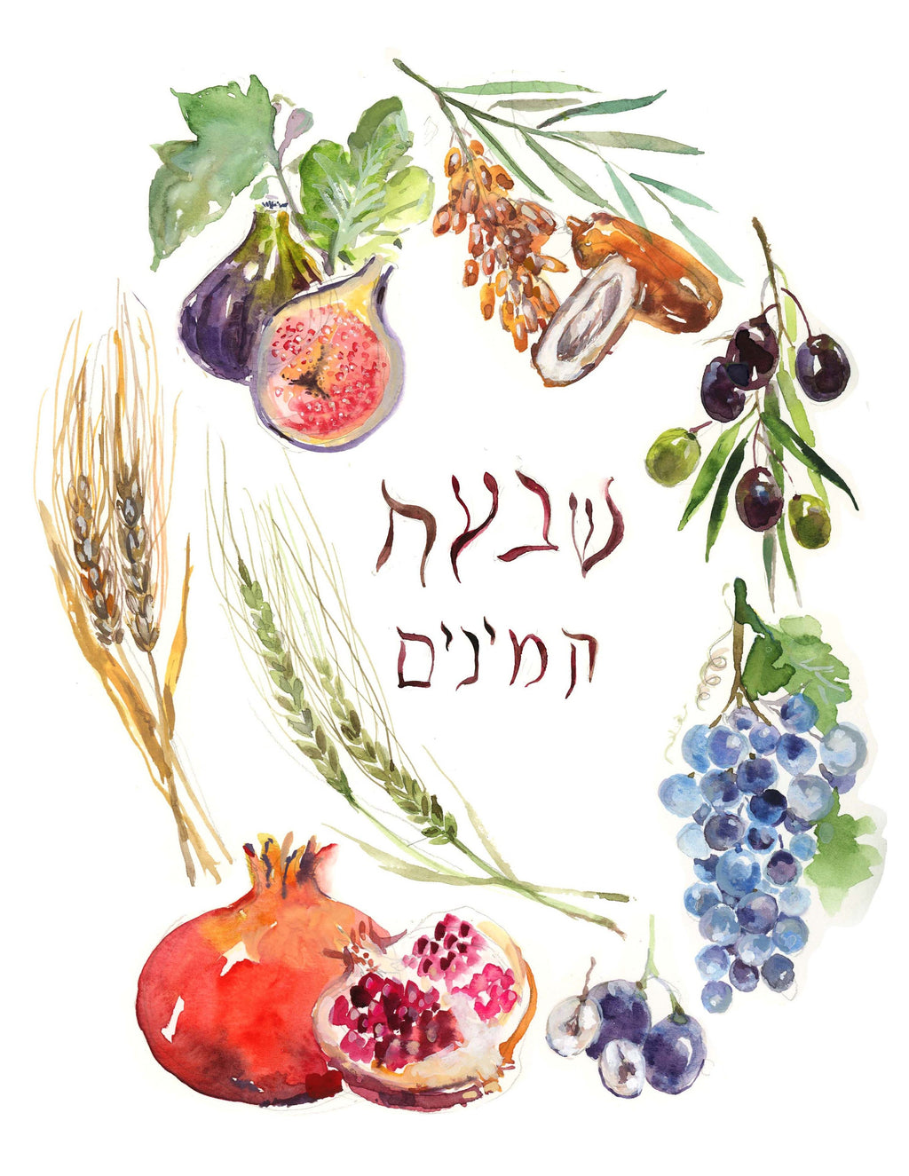 Judaica Art Print, Fruits of Israel Illustration, Shevas Haminim Watercolor Illustration, Jewish Wall Decor