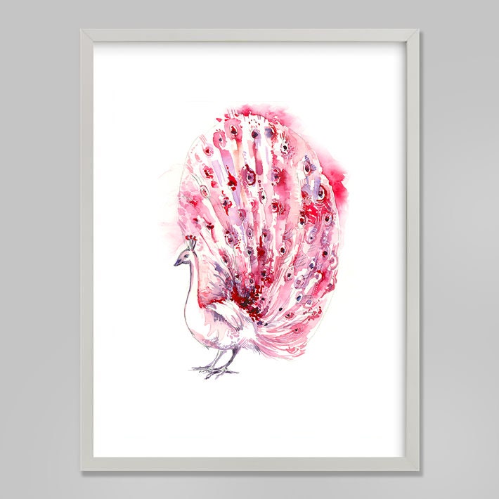 Pink Peacock Giclee Print, Watercolor Bird Art, Mother's Day Gift