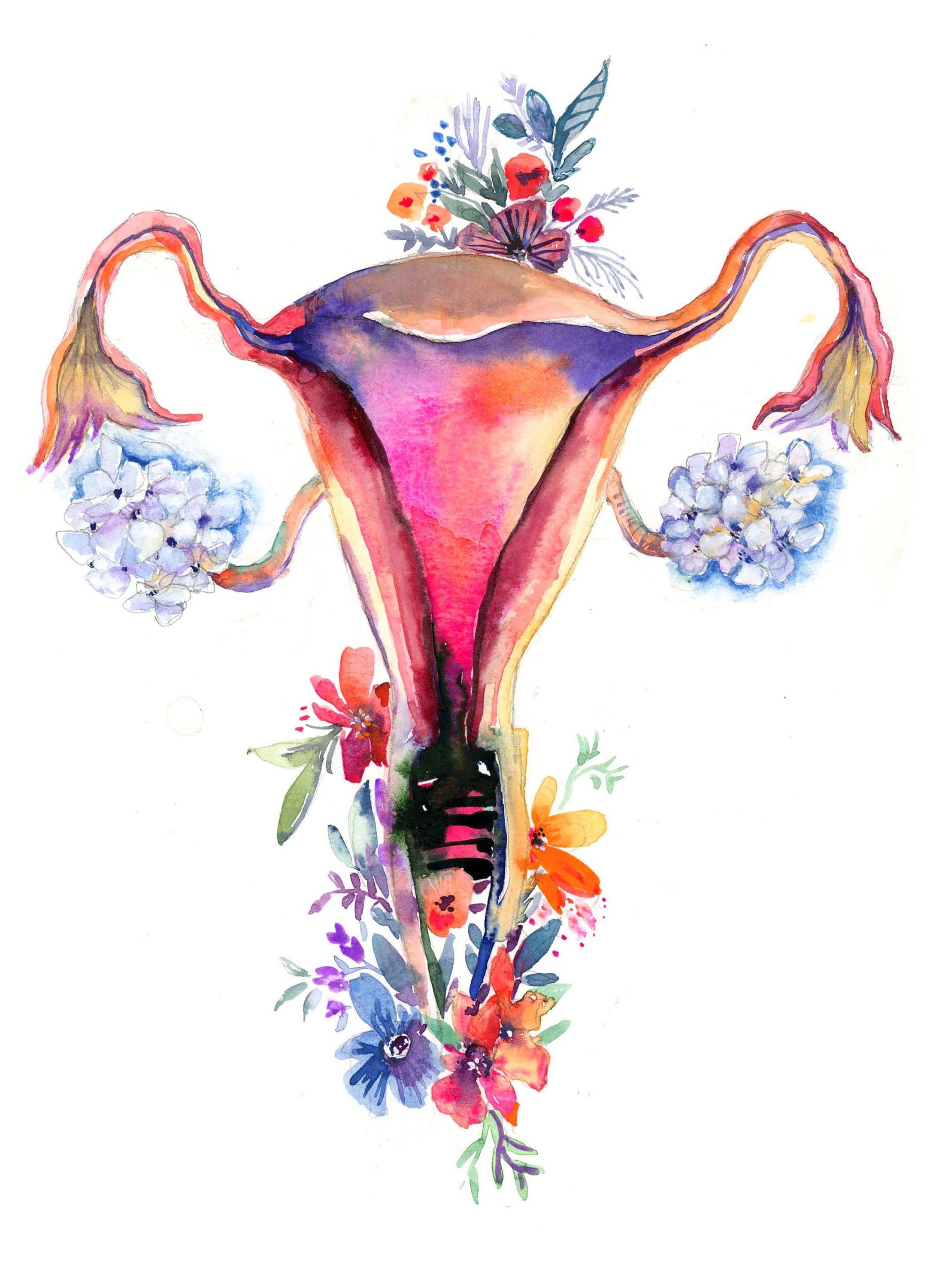 Magical Uterus, Floral Watercolor illustration. Anatomical Organs Art Print, Doctor or Nurse Wall Decor