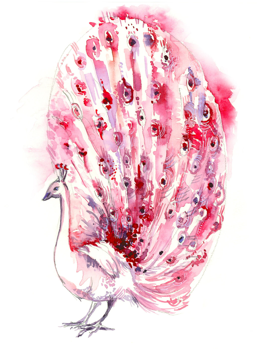 Pink Peacock Giclee Print, Watercolor Bird Art, Mother's Day Gift