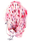 Pink Peacock Giclee Print, Watercolor Bird Art, Mother's Day Gift