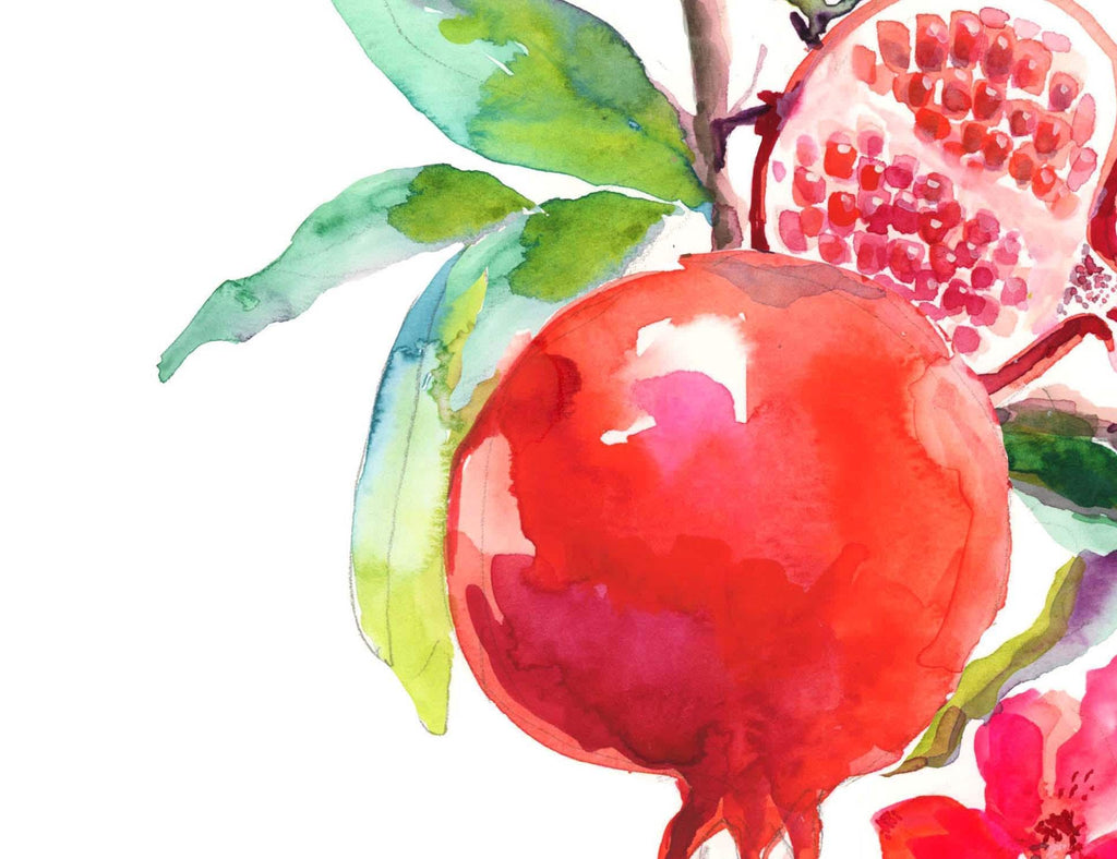 Pomegranate Watercolor Art Print: Signed Giclee Fruit Illustration