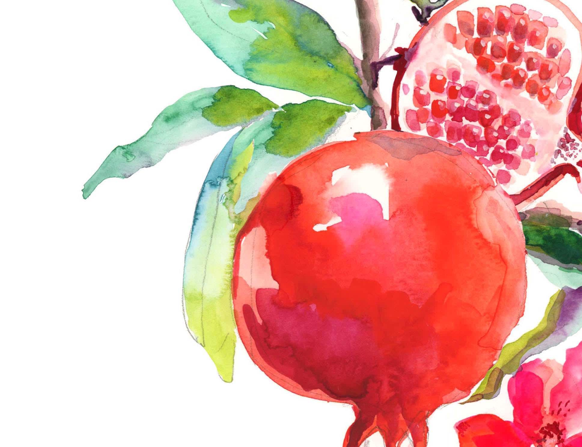 Pomegranate Watercolor Art Print: Signed Giclee Fruit Illustration